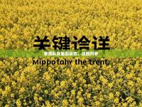 老鹰队员重回状态，战胜对手