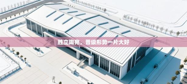 胜立陶宛，晋级形势一片大好