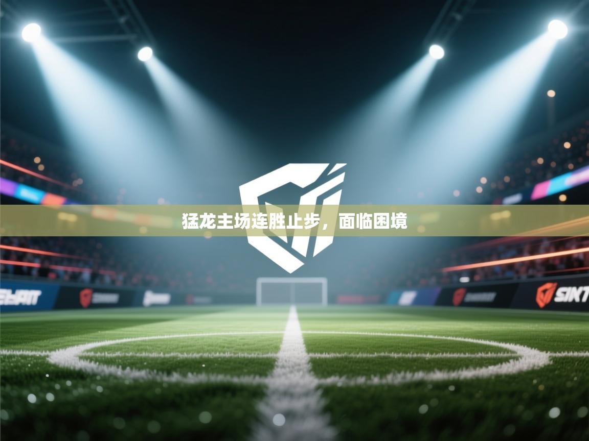 猛龙主场连胜止步,面临困境 第1张