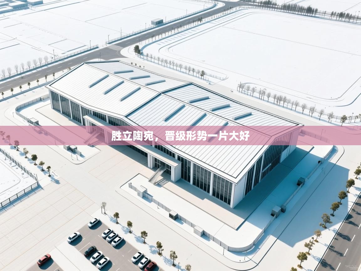 胜立陶宛，晋级形势一片大好  第1张