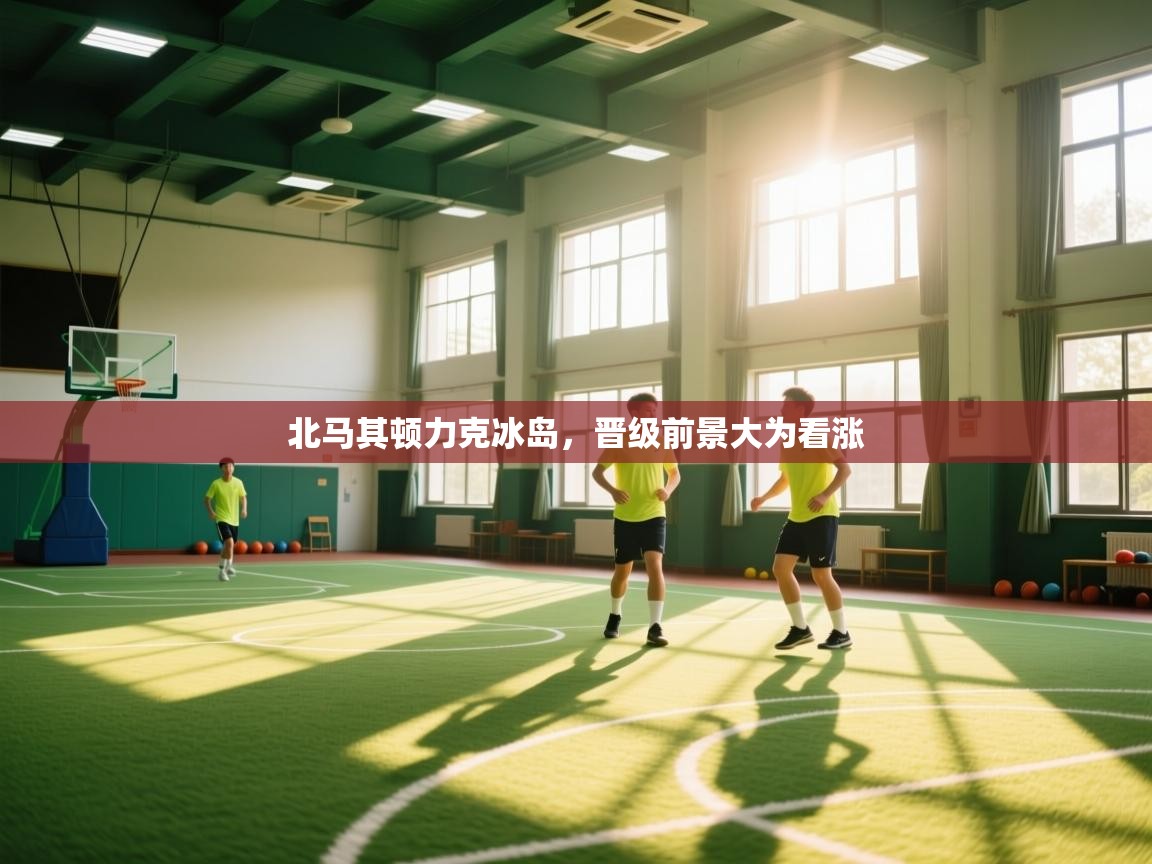 北马其顿力克冰岛，晋级前景大为看涨  第1张